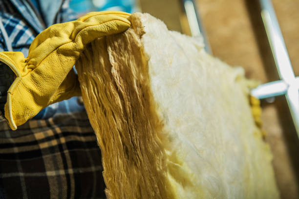 Best Blown-in Insulation  in Elsberry, MO