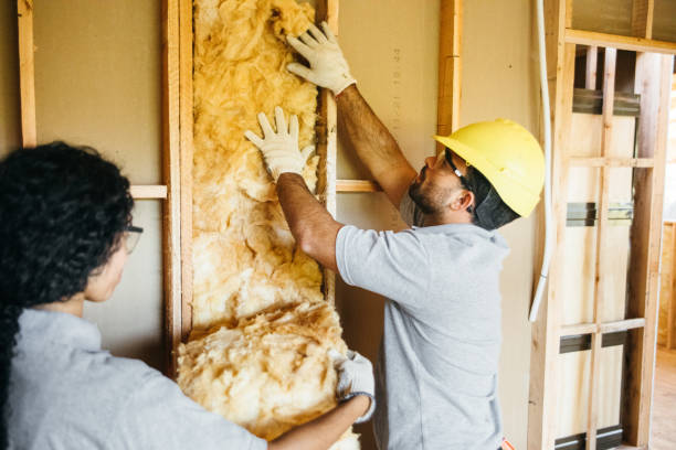 Best Fiberglass Insulation  in Elsberry, MO