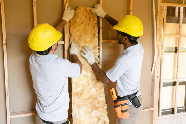 Best Blown-in Insulation  in Elsberry, MO