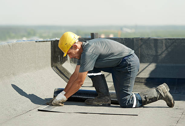 Best Cellulose Insulation  in Elsberry, MO