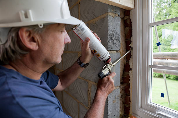 Best Attic Insulation Installation  in Elsberry, MO