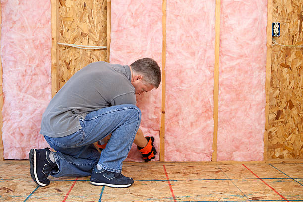 Best Energy-efficient Insulation  in Elsberry, MO