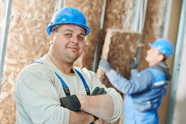 Best Insulation Removal  in Elsberry, MO